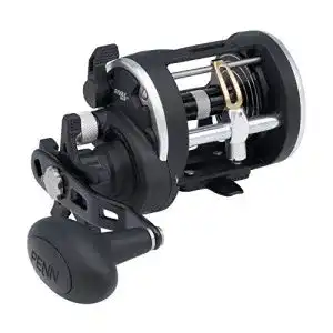 Angelrolle penn rival level wind multirolle fuer boote und kajaks