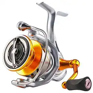 Angelrolle seaknight rapidii spinnrolle salzwasser 6 21 4 71