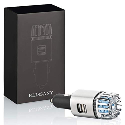 Auto-Luftreiniger BLISSANY Lufterfrischer mit zwei USB-Ports