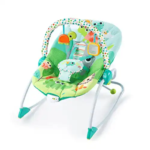 Babywippe Bright Starts für Babys und Kleinkinder, Modell Playful Parade
