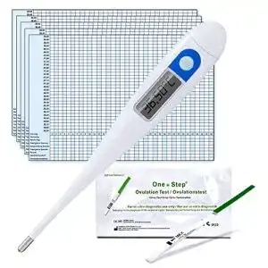 Basalthermometer onestep thermometer zur zykluskontrolle