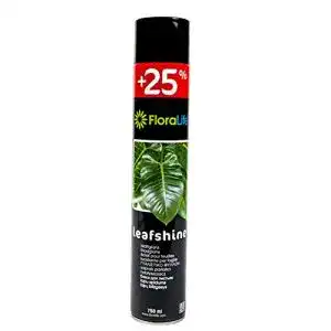 Blattglanzspray flowerbox oasis floralife blattglanz 750 ml