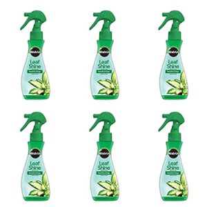 Spray lucidante per foglie Miracle-Gro 100720 Lucidante per foglie, 227 ml, 6 pezzi