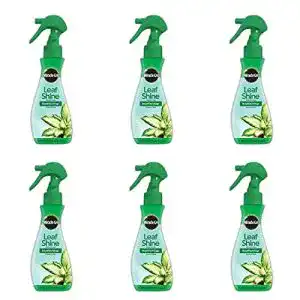 Blattglanzspray miracle gro 100720 blattglanz 227 ml 6 stueck