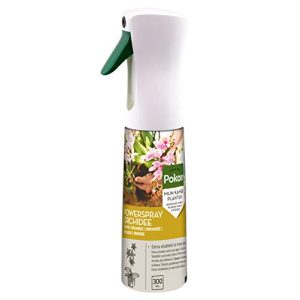 Spray brillance des feuilles Pokon Orchideen Powerspray, 300ml