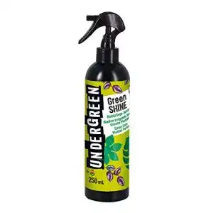 Blattglanzspray undergreen by compo green shine