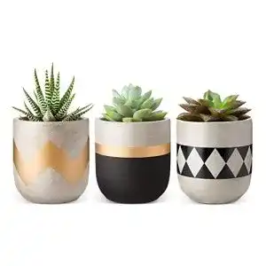 Blumentoepfe mkouo 10cm zement sukkulente toepfchen beton