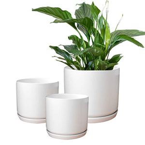 Set di fioriere in ceramica bianco opaco Olly & Rose con vasi da fiori