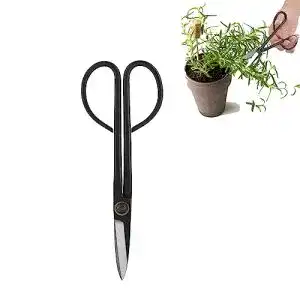 Bonsaischere zyyini 205mm langer griff bonsai schere rostfrei