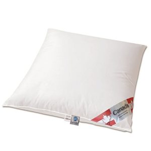 Down pillow beds dream country Canada, extra soft
