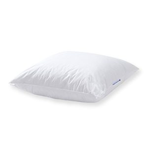 Down pillow nordic coast company 40×40 ideal as a pillow