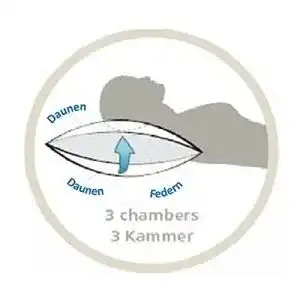 Daunenkissen tm maxx 3 kammer kissen 80x80 cm kopfkissen