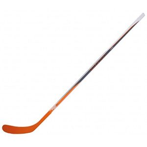bâton de hockey sur glace