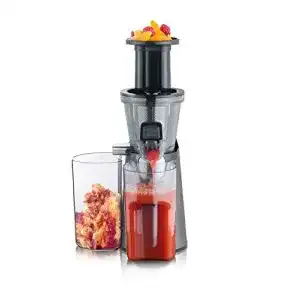 Entsafter severin slow juicer fuer saft sorbet eis marmelade