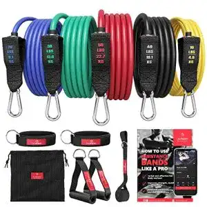 Expander bemaxx resistance bands set mit trainings ebook