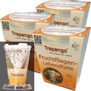 Frugt Fly Trap