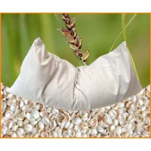 Organic millet cushion 40 x 40 cm with ticking made of 100% organic cotton