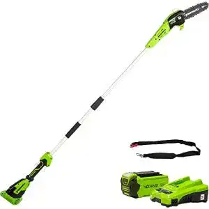 Hochentaster greenworks g40psfk2 akku 20 cm blattlaenge
