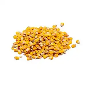 Huehnerfutter stawa futtermais mais gelb gefluegel karpfen