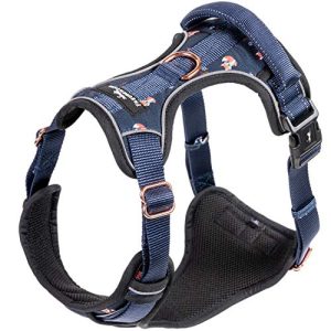 Dog harness FREUDENTIER ® breathable, padded