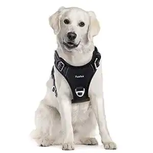 Hundegeschirr