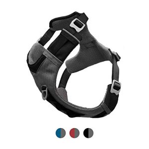 Kurgo Journey Air dog harness with padded chest section