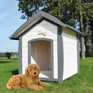 Hundehuette zooprinz wetterfeste bella aus massivem holz