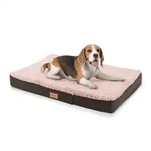 Hundekissen brunolie balu hundebett in dunkelbraun waschbar