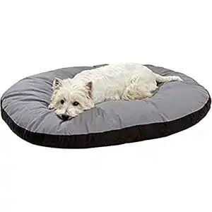 Hundekissen karlie kissen oval l 50 cm b 40 cm h 8 cm
