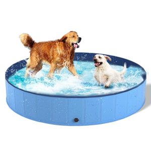 Köpek havuzu Köpekler ve kediler için Dono yüzme havuzu