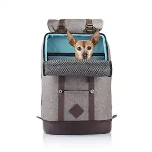 Hunderucksack kurgo rucksack mit speziellem hundefach
