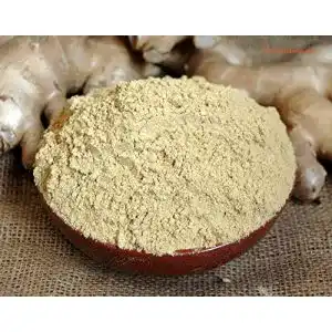 Ingwertee naturix24 ingwerpulver 1er pack 1 x 1 kg