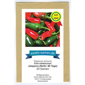 Jalapeno-Samen exotic-samen Mittelscharfes Chili zum Grillen