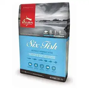 Katzenfutter orijen six fish futter fuer katzen und kaetzchen
