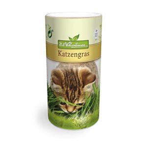 La hierba para gatos Chrestensen es suficiente para 4-5 m² (caja de semillas esparcida)