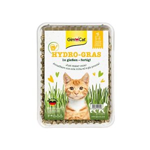 Cat grass GimCat Hydro-Grass, from controlled field cultivation