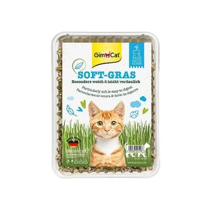 Cat grass GimCat soft grass, delicate and rich in vitamins
