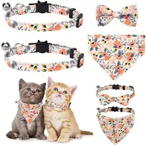 Katzenhalsband molain 2 stueck sets mit glocken