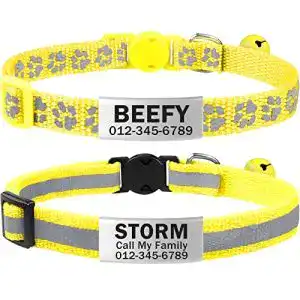 Katzenhalsband tagme 2er pack mit namen und telefonnummer