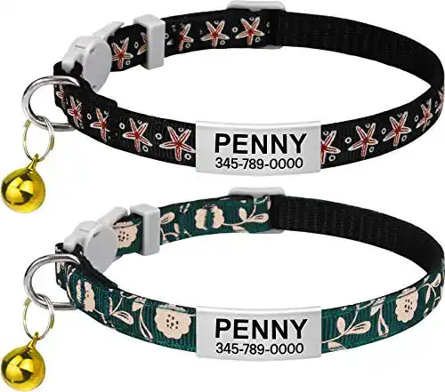 Personalisierbares Katzenhalsband TagME mit Sicherheitsverschluss