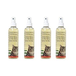 Catnip Spray Cajou 1 liter (4 bottles) catnip