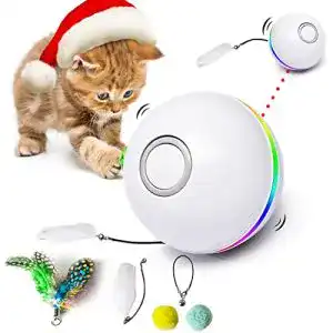Katzenspielzeug fairwin katzen spielzeug interaktiv ball