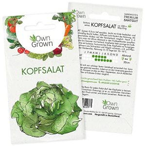 Kopfsalat-Samen OwnGrown Kopfsalat Samen: Premium Salat