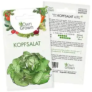 Kopfsalat samen owngrown kopfsalat samen premium salat