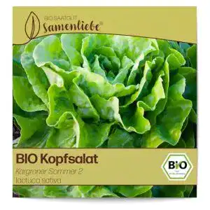 Kopfsalat samen samenliebe bio kopfsalat kargraner sommer 2