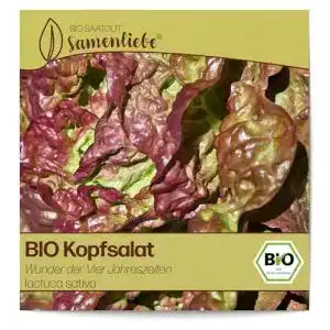 Kopfsalat samen samenliebe bio kopfsalat samen alte sorte
