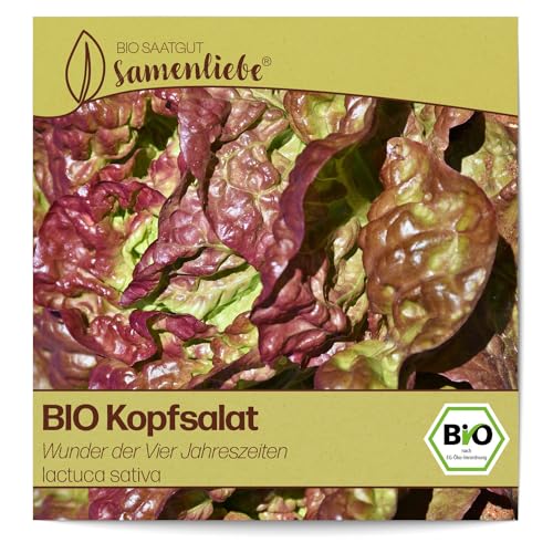 Kopfsalat-Samen Samenliebe BIO Kopfsalat Samen alte Sorte