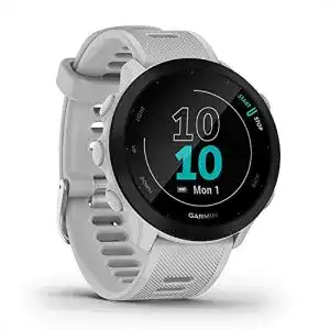 Laufuhr garmin forerunner 55 gps