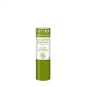 Lippenpflege cattier paris cattier 1er pack 1 x 4 g