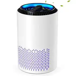 Luftreiniger conopu allergiker air purifier hepa h13 filter